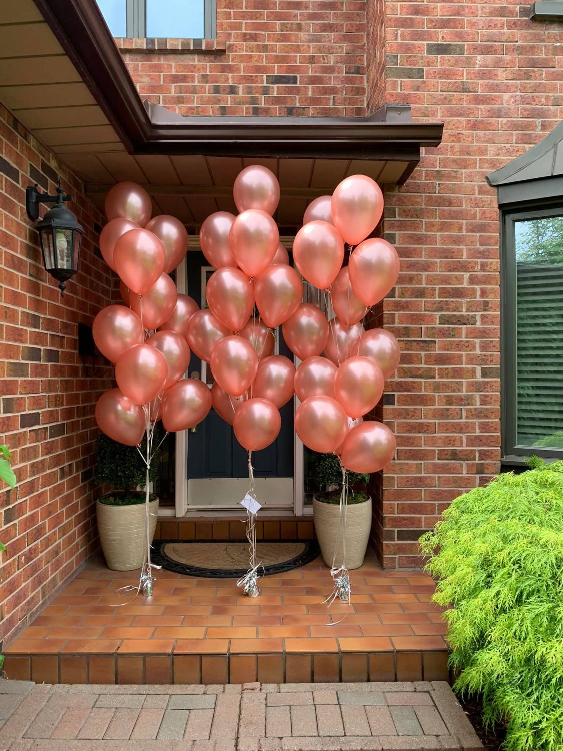 106527159_3652075614819492_2738413597425934386_n