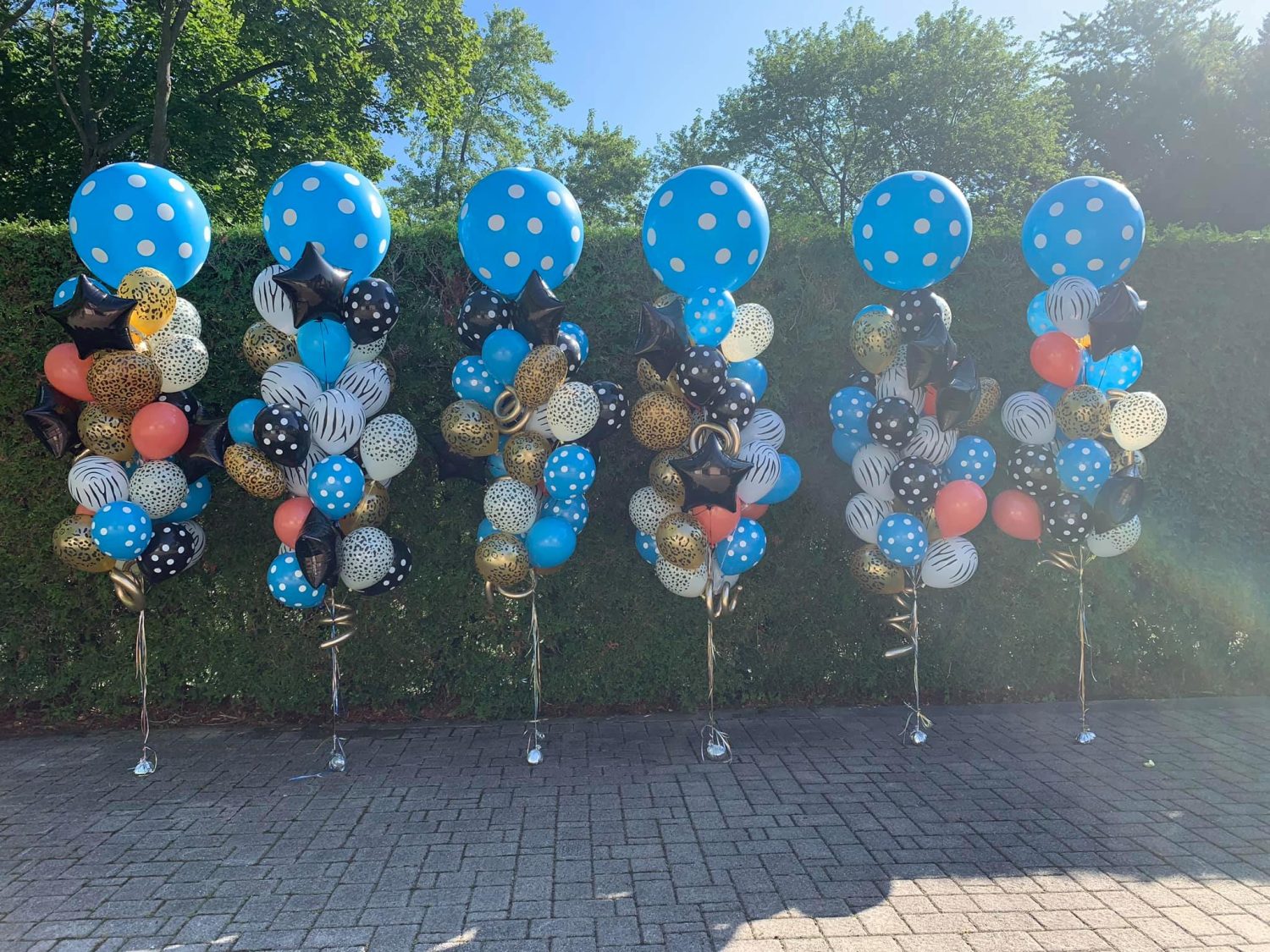 117654085_3787883754572010_6259074786386796907_n